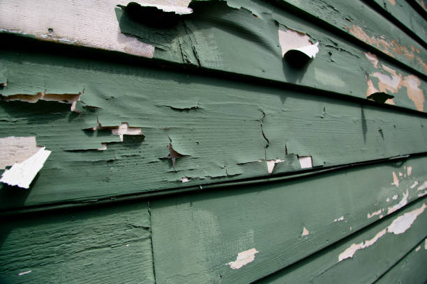 Best Storm Damage Siding Repair  in Little River Academy, TX